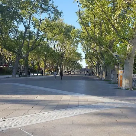 Loft Triangle Comedie, Parking Free Appartement